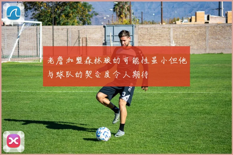 老詹加盟森林狼的可能性虽小但他与球队的契合度令人期待