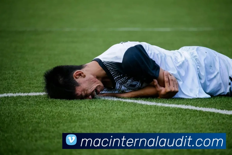 平台展示图